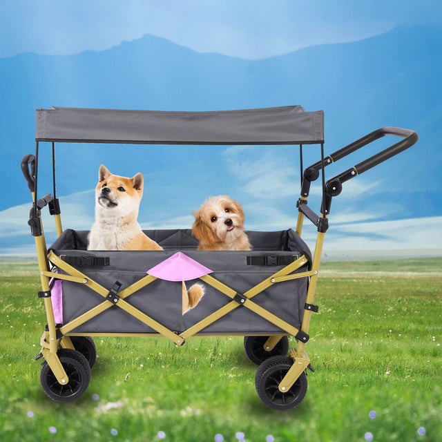 Push & Pull Utility Folding Wagon with Removable Canopy