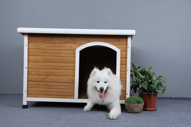 Wooden Dog Houses Weatherproof for Small Dog Medium Dog Large Dogs Outdoor Dog Kennel with Raised Feet